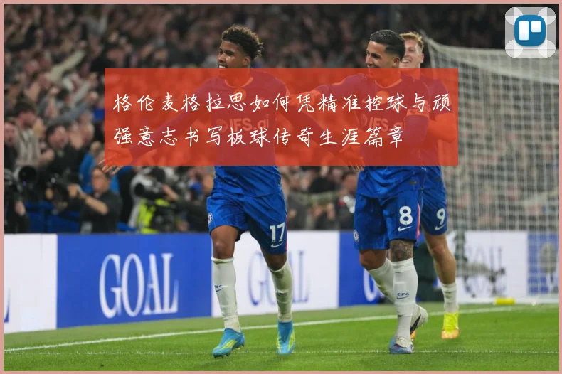 格伦麦格拉思如何凭精准控球与顽强意志书写板球传奇生涯篇章