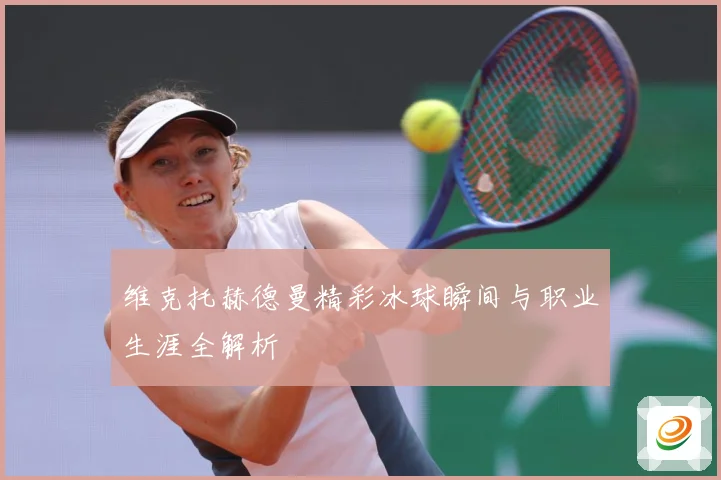 维克托赫德曼精彩冰球瞬间与职业生涯全解析
