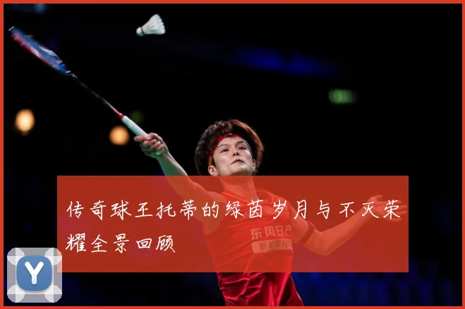 传奇球王托蒂的绿茵岁月与不灭荣耀全景回顾