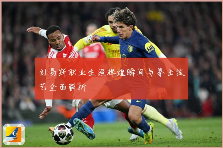 刘易斯职业生涯辉煌瞬间与拳击技艺全面解析
