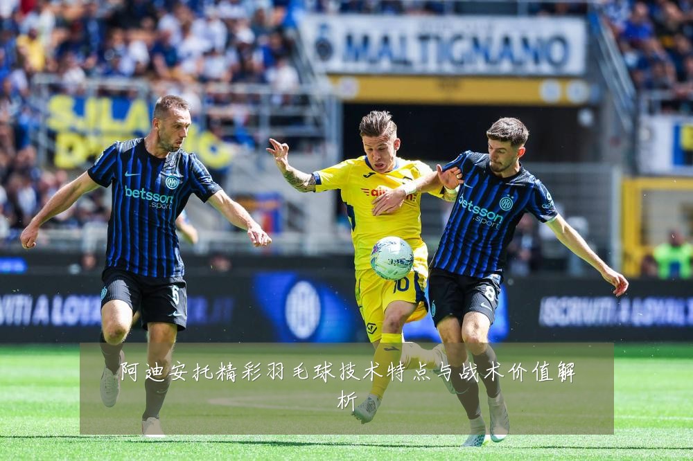 阿迪安托精彩羽毛球技术特点与战术价值解析