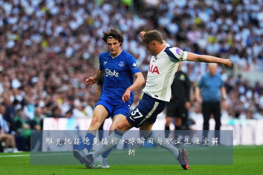 维克托赫德曼精彩冰球瞬间与职业生涯全解析